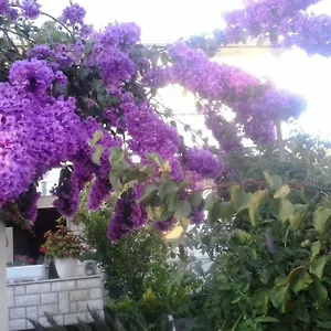 Apartman Branka, Rab Town